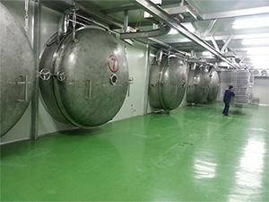 BLK2000kg Industrial Freeze Dryer, Large Capacity Lyophilization Equipment